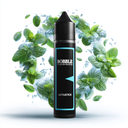 Bobble 50ml - Antartick 