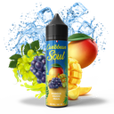 Caribbean Soul 50ml - Mangue Raisin Frais